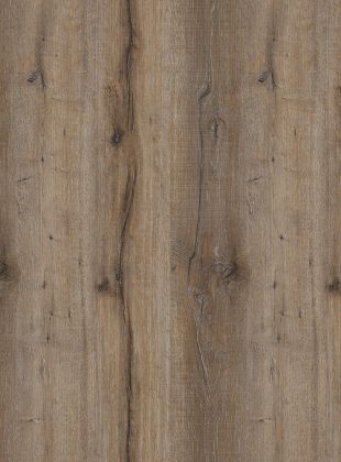 Truffle Baron Elm (R5643RT)