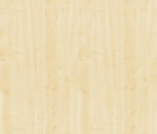 Acacia (R5028RT)