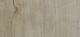 Light Maple (R5464VV)
