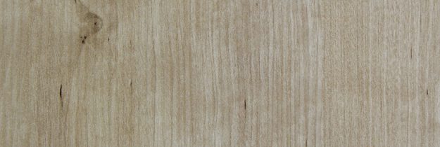 Masuren birch sand (R5822RT)