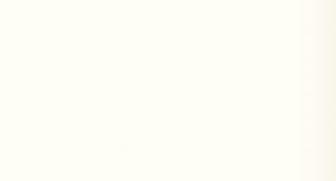 Icy White (U1027LL)