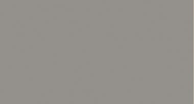 Platinum Grey (U1115SX)