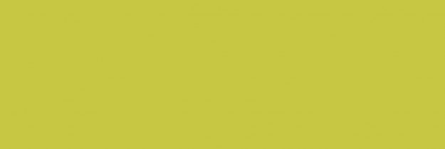 Turmeric (U1509MP)