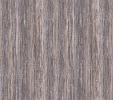 Aranea Beige